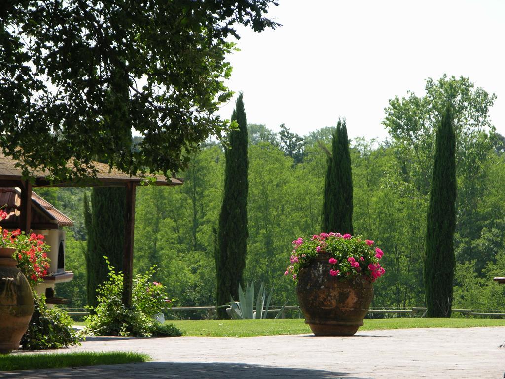 Podere Il Giurato Fauglia Ngoại thất bức ảnh