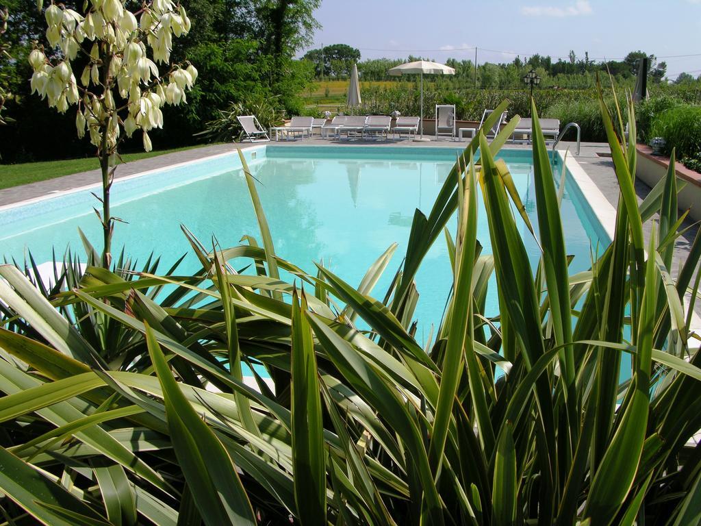 Podere Il Giurato Fauglia Ngoại thất bức ảnh